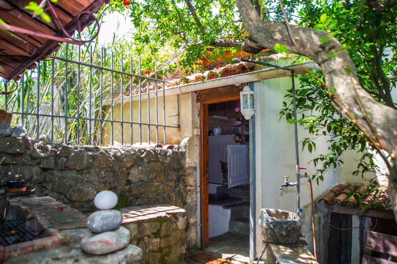 Panorama Of Deep Blue Σπίτι διακοπών Tseria